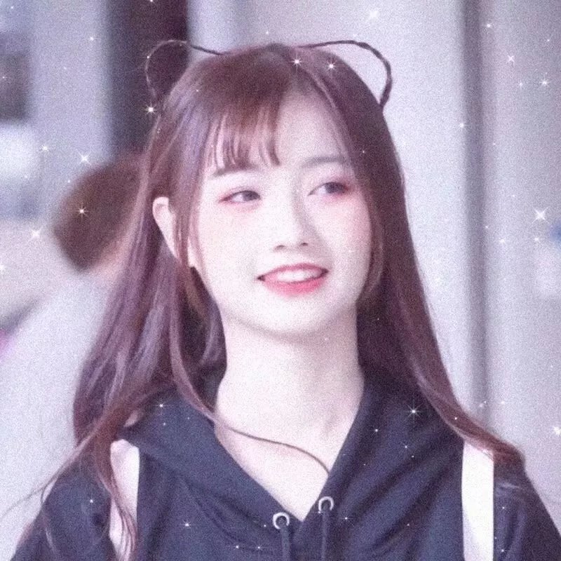 蜘蛛的策略